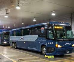 Apply to host/hostess, pet sitter, operator and more! Greyhound Jobs Greyhound Lines Bus Driver Requirements Training Info