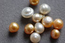 File Circle South Sea Pearls Jpg Wikimedia Commons Pearls Real Pearls Buy Gemstones