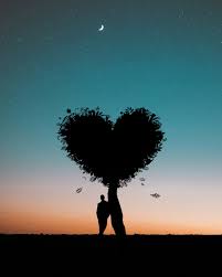 Image result for love images