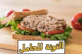التونة للحامل فوائدها وأضرارها tuna sandwich tuna food