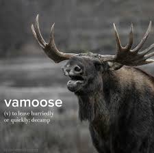 'gaslighting' is when someone leads you to question your own reality. Couldn T Resist Vah Moose Spanish Origin Devonstrang Wordoftheday Wotd Word Words Dictionary Language Defi Words Cool Words Word Of The Day