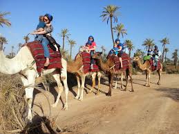 Camel ride & quad bike in half day from marrakech. Sunset Camel Ride In The Palm Grove Of Marrakech Guided Desert Morocco