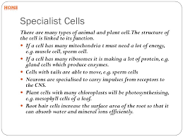 Made up of only one cell. Science Cells Jordan Girling Ppt Video Online Download