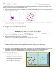 One using water potential in the definition, the other using water concentration). Diffusion And Osmosis Worksheet