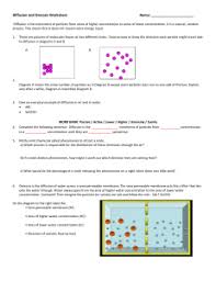 Learn vocabulary, terms and more with flashcards, games only rub 220.84/month. Diffusion And Osmosis Worksheet