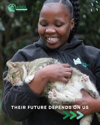 Senior Animals looking for homes in SOUTH AFRICA (*5 years and above)