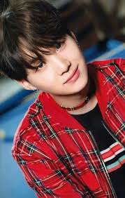 bias suga