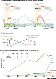 Reliable Serological Diagnostic Tests For Arboviruses Feasible Or Utopia Trends In Microbiology