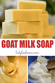 how to make goat milk soap lady lee s