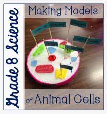 If so, you may need to memorize the animal cell, its organelles, and their functions. Grade 8 Animal Cell Models Animal Cell Project Transparent Png 948x1035 Free Download On Nicepng