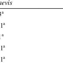 Image result for Rhodopentas bussei