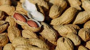 Manfaat kacang tanah untuk kesehatan | meningkatkan kesuburan. Kaya Protein Simak Kandungan Gizi Dan Manfaat Kacang Tanah Untuk Kesehatan Termasuk Cegah Anemia Halaman 3 Tribun Batam