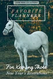 Keeping Up With Those New Year S Resolutions In 2020 New Years Resolution Online Learning Horse Show Mom