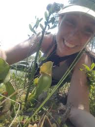 Shinn Fund Recipients