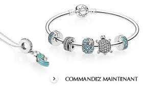Bracelet Jonc Essence Pandora Fr Bracelet Jonc Bracelet Pandora Bracelet A Breloques