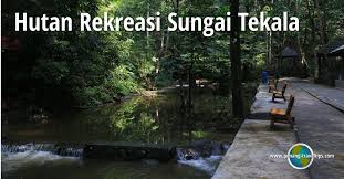 Air terjunnya cantik menyebabkan ia dikategorikan sebagai air terjun bertingkat yang terkenal. Hutan Rekreasi Sungai Tekala Selangor