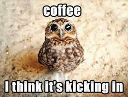 You're going to be ok. Latest Updates From Funny Animal Memes Facebook