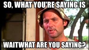 So What You Re Saying Is Waitwhat Are You Saying Bill Murray Caddyshack Meme Generator