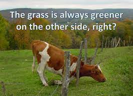 The Grass Is Greener Syndrome Relationship Talk