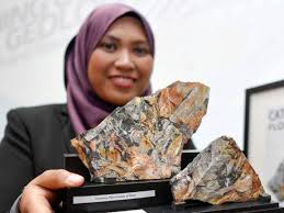 Berikut ini disajikan secara umum susunan organisasi yang dibentuk dalam sebuah perusahaan rincian tugas dan tanggung jawab setiap posisi jabatan dalam struktur organisasi perusahaan. Fosil Tumbuhan Berusia 300 Juta Tahun