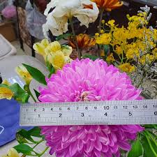 pin by 孟祥林on 花in 2021 10 things 9 and 10 lei necklace