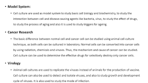 The cell culture now days are mainly a term use for the animal of the eukaryotic cell culture. Cell Culture Ao 04 Ppt Video Online Download