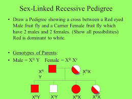 Figure 5 illustrates several examples. Human Genetics Patterns Of Inheritance For Human Traits Chapter Ppt Download