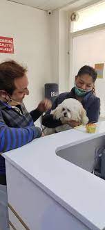 Check spelling or type a new query. Max Vets Rajouri Garden Home Facebook