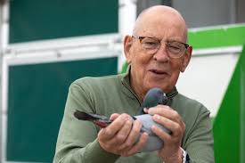 Marc Spalart, Normandy, France wins 1. Federal Perpignan with grandson  'Crow' this bird is half brother of the one who ranked 24. Int. PERPIGNAN