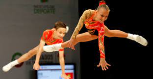 Los invitamos a navegar por la página y profundizar un poco más acerca de este bello mundo que es la gimnasia. Tipos De Gimnasia Gimnasia Acrobatica