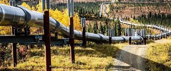 The fight to stop keystone xl was never about one pipeline, said kendall mackey, campaign manager at 350.org. Trump Allows Existing Keystone Oil Pipeline To Boost Capacity Oilprice Com