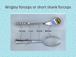 Kielland forceps on wn network delivers the latest videos and editable pages for news & events, including entertainment, music, sports, science forceps are a surgical instrument that resembles a pair of tongs and can be used in surgery for grabbing, maneuvering, or removing various things within. Operative Intervention In Obstetrics Episiotomy An Episiotomy Is