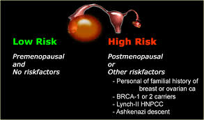 I decided to get a second opinion and went to memorial sloan kettering. The Radiology Assistant Roadmap To Evaluate Ovarian Cysts