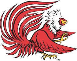 Image Result For Jsu Gamecock Logo Jacksonville State Gamecocks Jacksonville