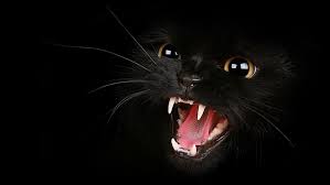 76 top black cat desktop wallpapers , carefully selected images for you that start with b letter. Hd Wallpaper Black Cat Teeth Mouth Eyes Dark Angry Wallpaper Flare