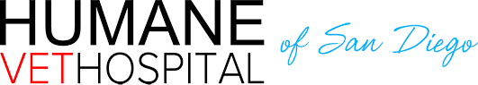 San diego the following referrals are part of san diego county. Low Cost Spay And Neuter San Diego Packages From 55 Low Cost Veterinarian Humane Vet Hospital Of San Diego