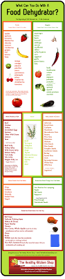 What Can You Do With A Food Dehydrator The Healthy