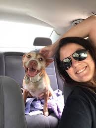 Sharing…. Please share 🙏🏼 These babies need to get home ASAP.