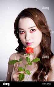 Side shot of a rose hi-res stock photography and images