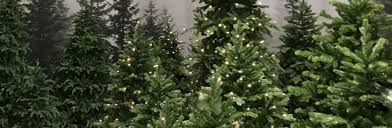 Art snowman and christmas tree decoration; Hire Christmas Trees By Twilight Trees Banner Partyman Catering