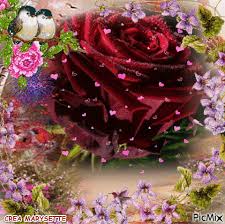 Https Encrypted Tbn0 Gstatic Com Images Q Tbn And9gcr0ufhxvop5f87tqa1i2rw Tcngyrp8mtba4q Usqp Cau