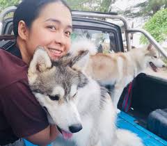 อาชีวศึกษา