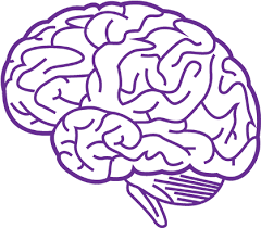 Download Hd Png Free Library Purple Transparent Brain Brain Transparent Png Image Nicepng Com Pngkit selects 761 hd brains png images for free download. download hd png free library purple