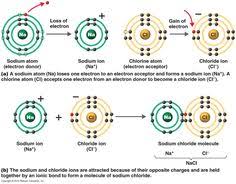 Chemical Principles Chemistry Education Chemistry Lessons Chemical Bond