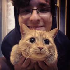 Didn't know only 2% of orange cats were female until my vet kept referring  to her as "him"