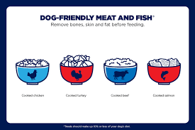 Be sure you know what foods are safe to share with no, it is not recommended that dogs eat almonds. Healthy Snacks For Dogs Safe Human Treats You Can Feed Your Pet