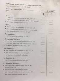 You are looking at a germ cell, or a. Below The Question And The Answer Key Can Anyone Chegg Com