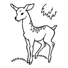 Clever deer outline will be easy to add features. Top 20 Deer Coloring Pages For Your Little Ones