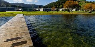 It is the largest body of water in the region and one of the most. Loja Do Parque Da Lagoa Das Sete Cidades Visit Azores
