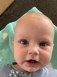 Tassie Bubs of 2020: July, August and September arrivals